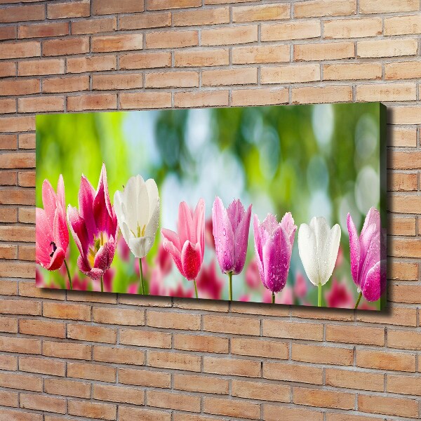 Cuadro canvas con impresión uv duradera horizontal Tulipanes