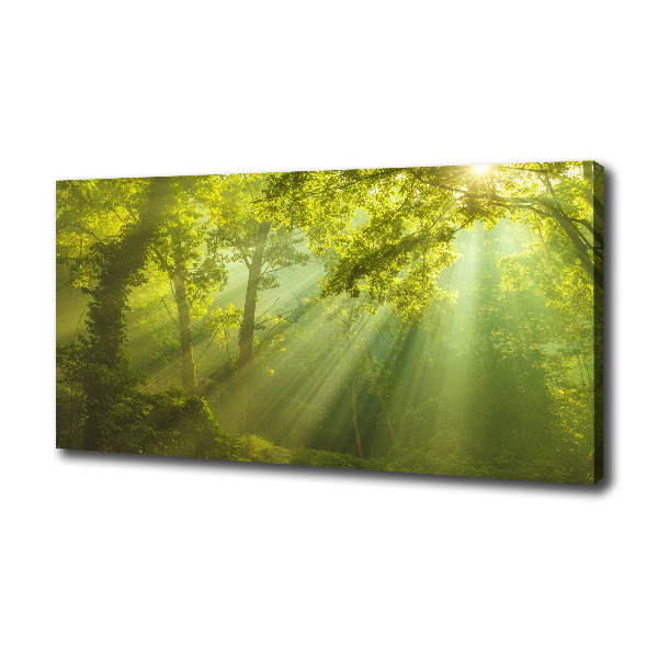 Cuadro canvas con impresión uv duradera horizontal Bosque al sol
