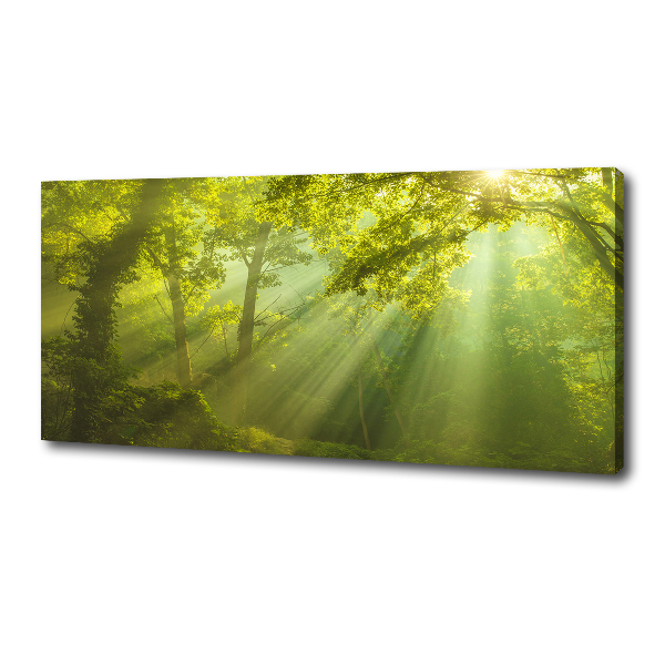 Cuadro canvas con impresión uv duradera horizontal Bosque al sol