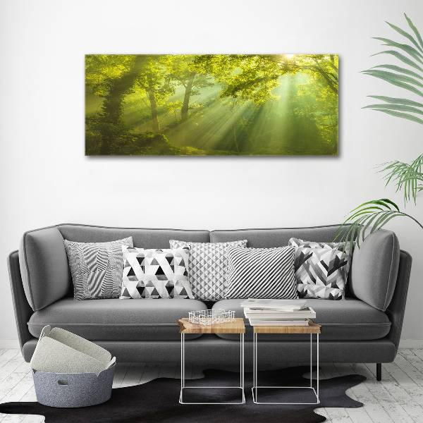Cuadro canvas con impresión uv duradera horizontal Bosque al sol