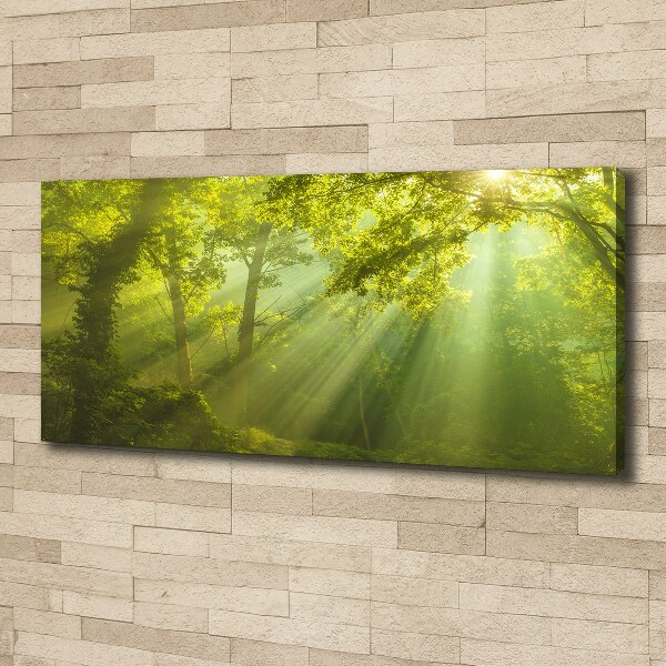 Cuadro canvas con impresión uv duradera horizontal Bosque al sol