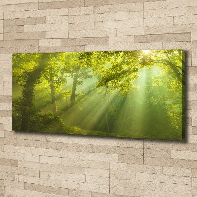 Cuadro canvas con impresión uv duradera horizontal Bosque al sol