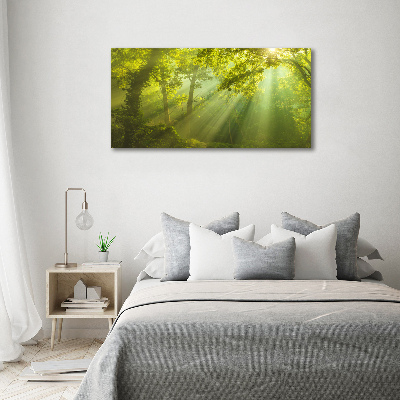 Cuadro canvas con impresión uv duradera horizontal Bosque al sol