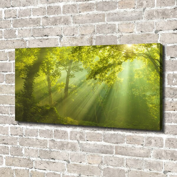 Cuadro canvas con impresión uv duradera horizontal Bosque al sol