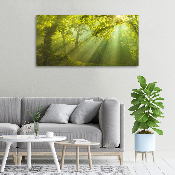Cuadro canvas con impresión uv duradera horizontal Bosque al sol