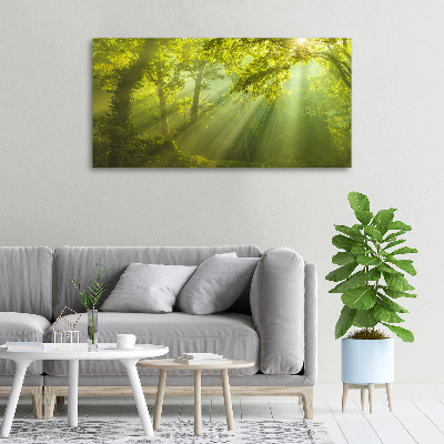 Cuadro canvas con impresión uv duradera horizontal Bosque al sol