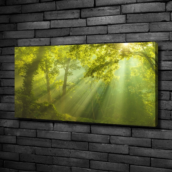 Cuadro canvas con impresión uv duradera horizontal Bosque al sol