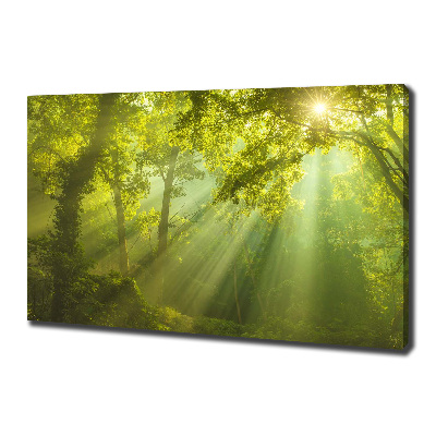Cuadro canvas con impresión uv duradera horizontal Bosque al sol