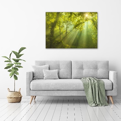 Cuadro canvas con impresión uv duradera horizontal Bosque al sol