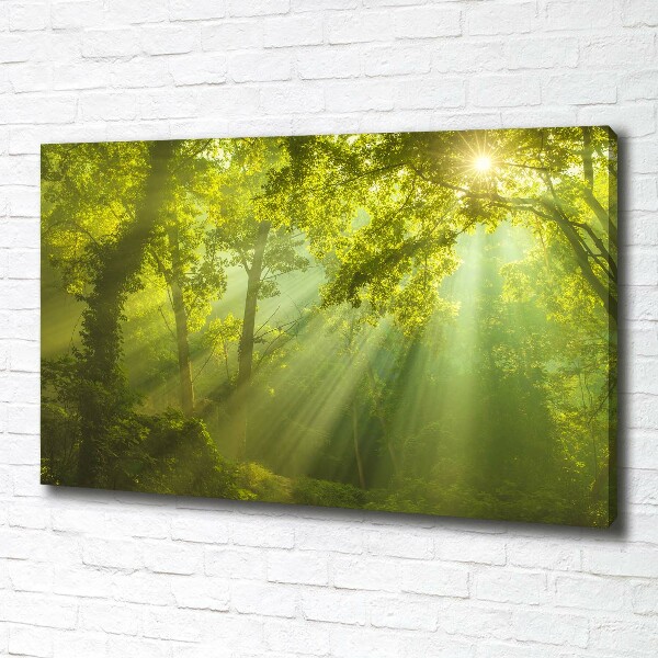 Cuadro canvas con impresión uv duradera horizontal Bosque al sol