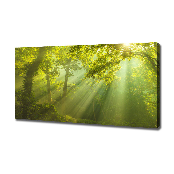 Cuadro canvas con impresión uv duradera horizontal Bosque al sol