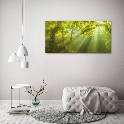 Cuadro canvas con impresión uv duradera horizontal Bosque al sol