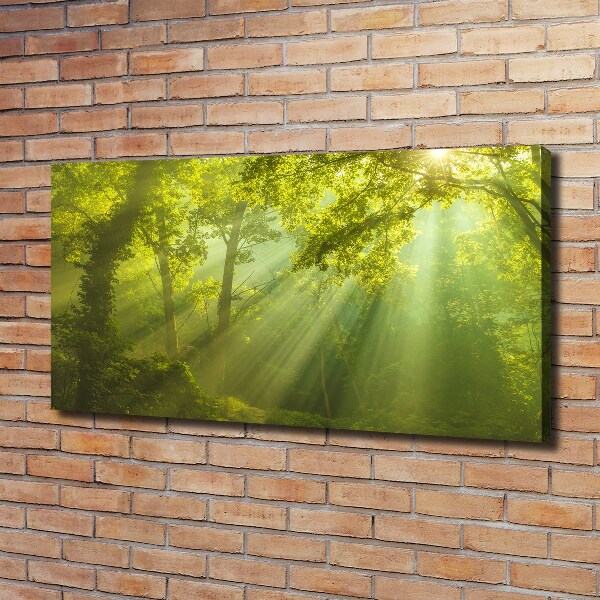 Cuadro canvas con impresión uv duradera horizontal Bosque al sol