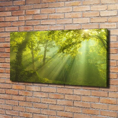 Cuadro canvas con impresión uv duradera horizontal Bosque al sol