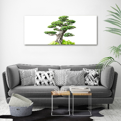 Cuadro canvas moderno de gran formato horizontal Árbol bonsái