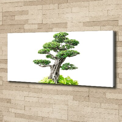 Cuadro canvas moderno de gran formato horizontal Árbol bonsái