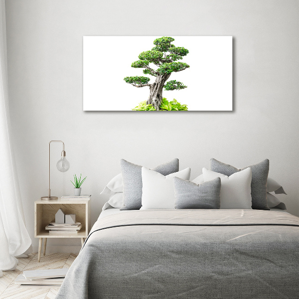 Cuadro canvas moderno de gran formato horizontal Árbol bonsái