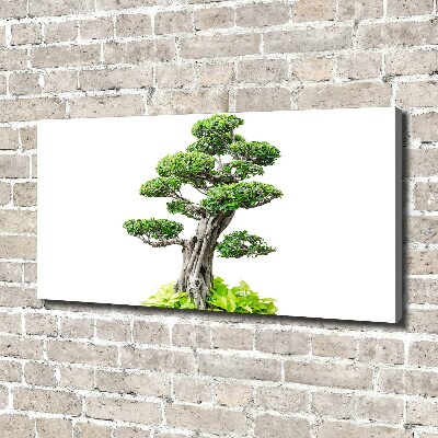 Cuadro canvas moderno de gran formato horizontal Árbol bonsái