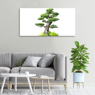 Cuadro canvas moderno de gran formato horizontal Árbol bonsái