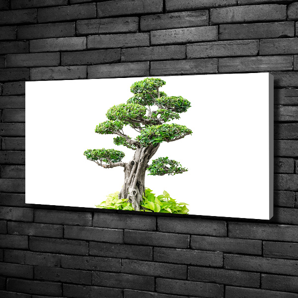 Cuadro canvas moderno de gran formato horizontal Árbol bonsái