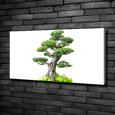 Cuadro canvas moderno de gran formato horizontal Árbol bonsái