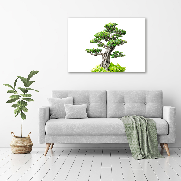 Cuadro canvas moderno de gran formato horizontal Árbol bonsái