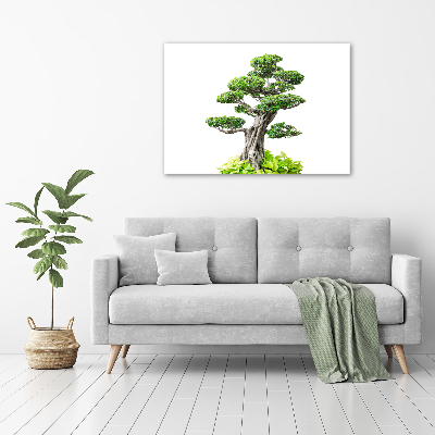 Cuadro canvas moderno de gran formato horizontal Árbol bonsái