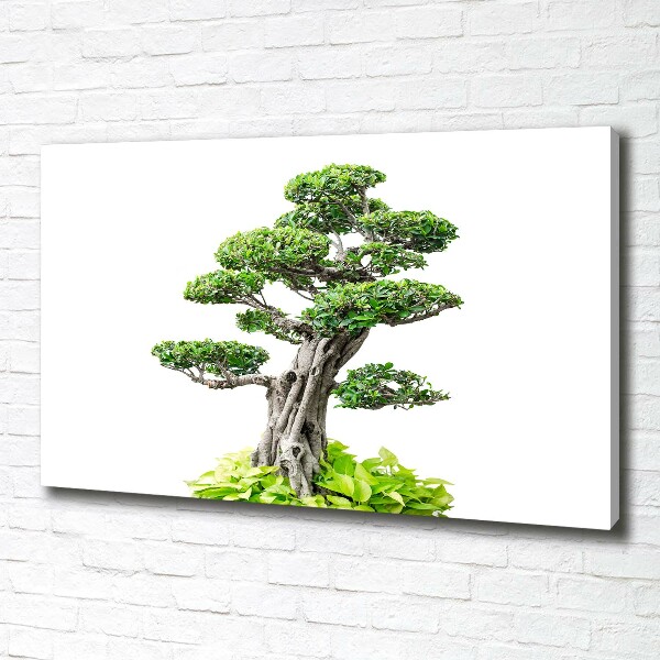 Cuadro canvas moderno de gran formato horizontal Árbol bonsái