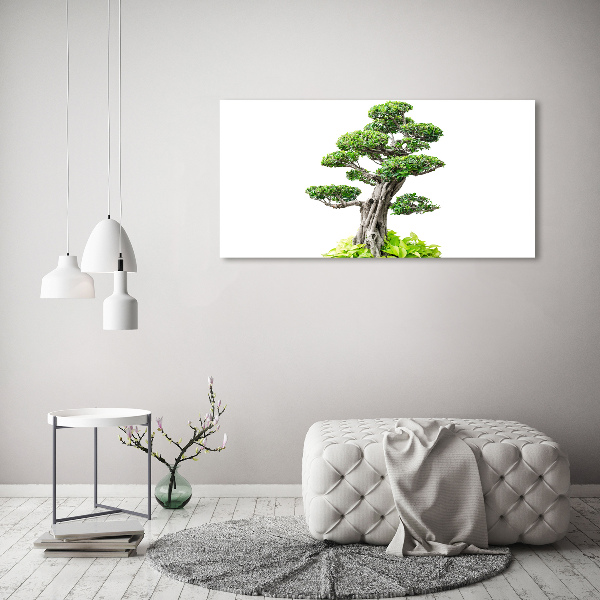 Cuadro canvas moderno de gran formato horizontal Árbol bonsái