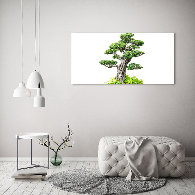 Cuadro canvas moderno de gran formato horizontal Árbol bonsái
