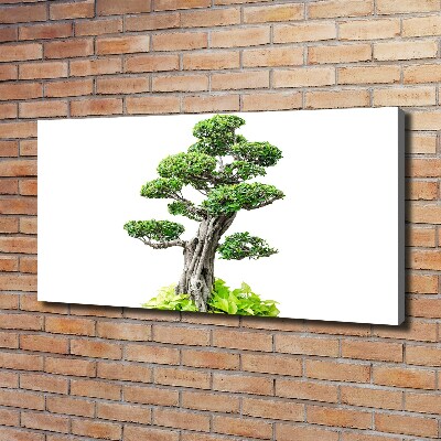 Cuadro canvas moderno de gran formato horizontal Árbol bonsái