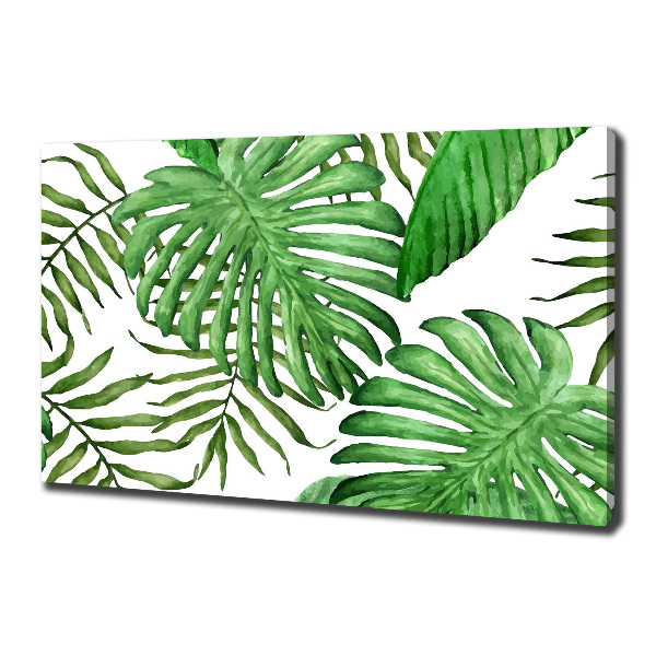 Fotocuadro en lienzo de alta calidad horizontal hojas tropicales