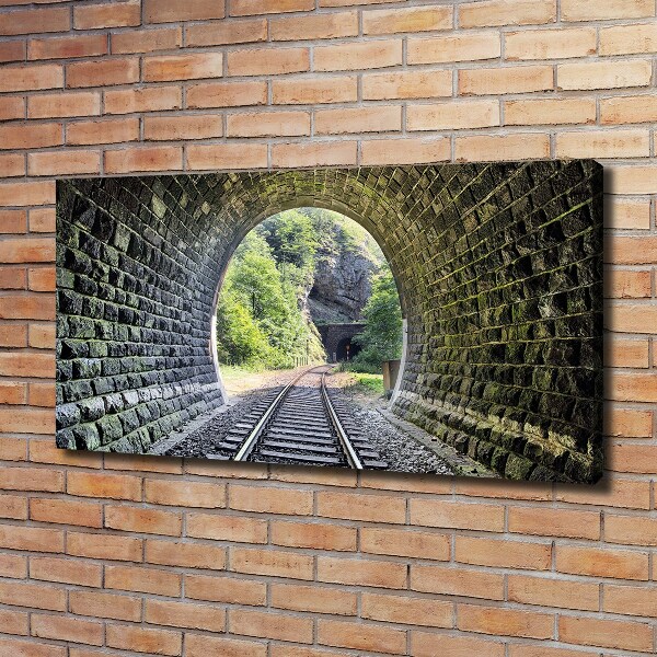 Foto obraz na płótnie Tunel kolejowy
