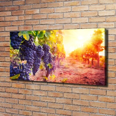 Foto en lienzo con acabado profesional horizontal Vides