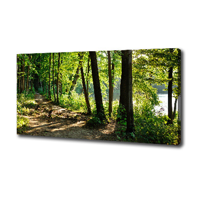 Foto en lienzo con acabado profesional horizontal Camino en el prado