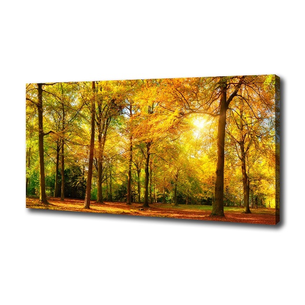 Cuadro canvas con impresión uv duradera horizontal Bosque en otoño
