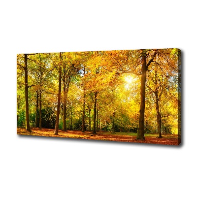Cuadro canvas con impresión uv duradera horizontal Bosque en otoño