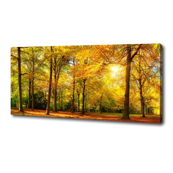 Cuadro canvas con impresión uv duradera horizontal Bosque en otoño
