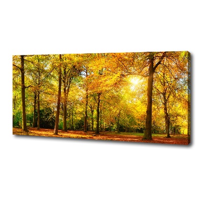 Cuadro canvas con impresión uv duradera horizontal Bosque en otoño
