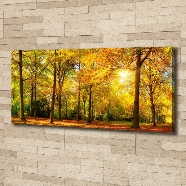 Cuadro canvas con impresión uv duradera horizontal Bosque en otoño