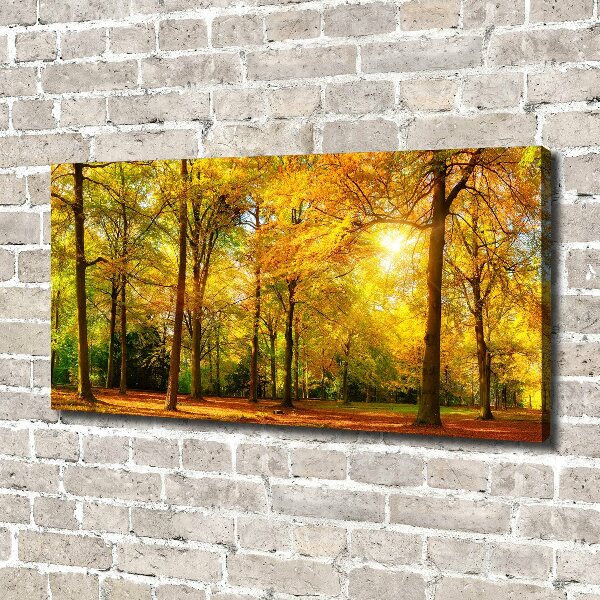 Cuadro canvas con impresión uv duradera horizontal Bosque en otoño