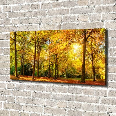 Cuadro canvas con impresión uv duradera horizontal Bosque en otoño