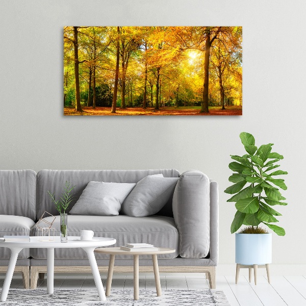 Cuadro canvas con impresión uv duradera horizontal Bosque en otoño