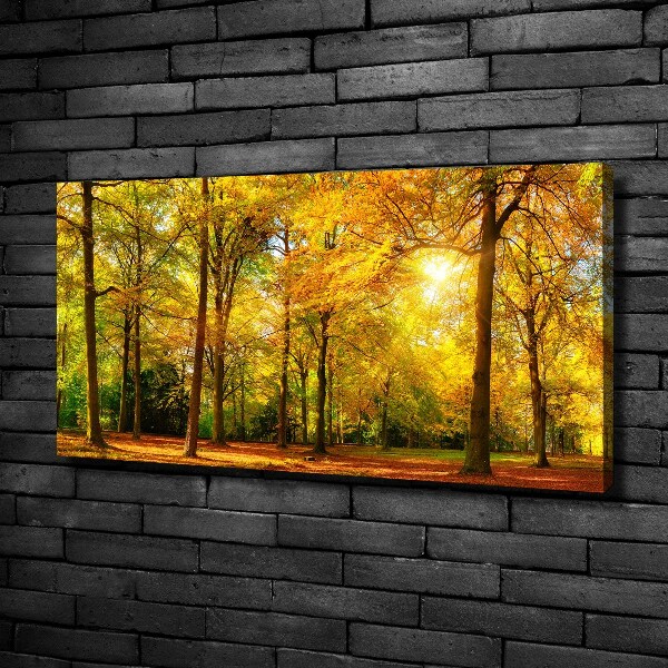 Cuadro canvas con impresión uv duradera horizontal Bosque en otoño