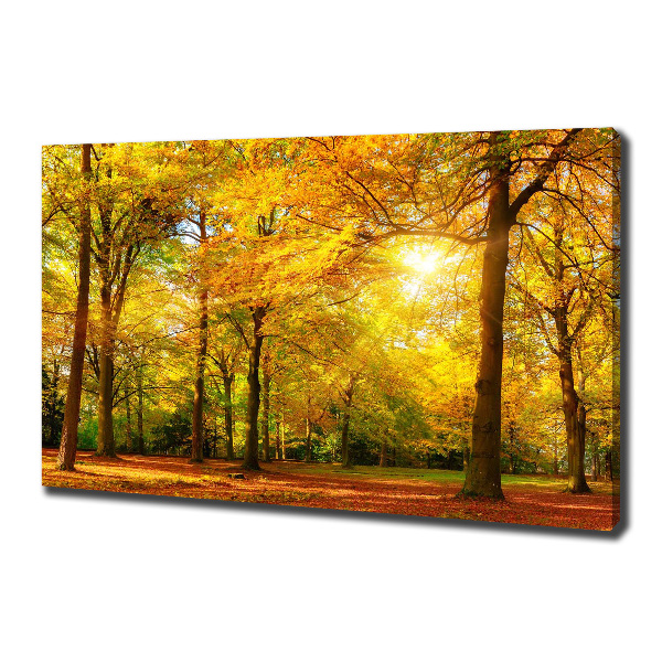 Cuadro canvas con impresión uv duradera horizontal Bosque en otoño