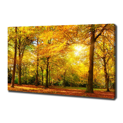 Cuadro canvas con impresión uv duradera horizontal Bosque en otoño