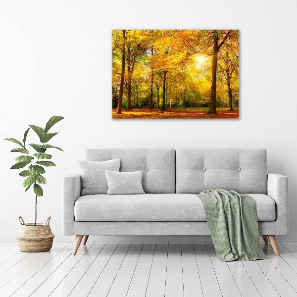 Cuadro canvas con impresión uv duradera horizontal Bosque en otoño