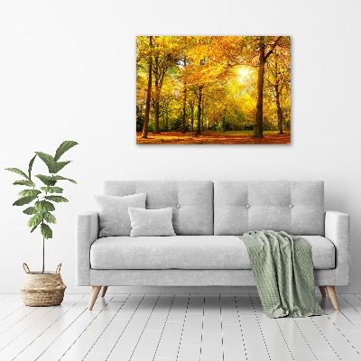 Cuadro canvas con impresión uv duradera horizontal Bosque en otoño