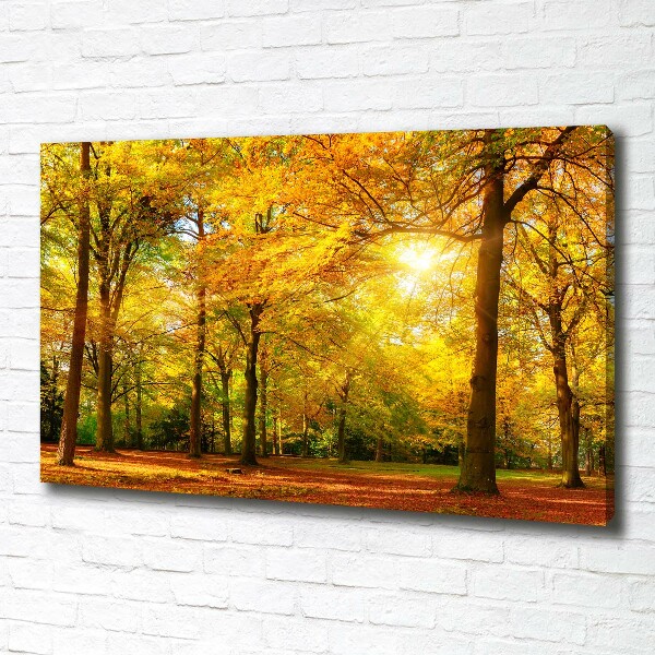 Cuadro canvas con impresión uv duradera horizontal Bosque en otoño