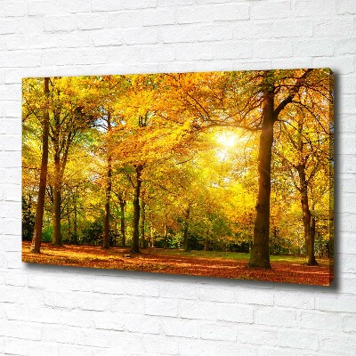 Cuadro canvas con impresión uv duradera horizontal Bosque en otoño